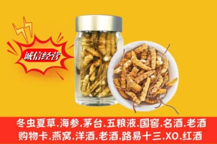 康马县回收散虫草