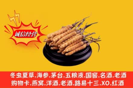 康马县名酒回收冬虫夏草.jpg